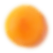 ck