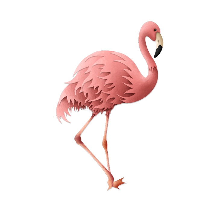 flamingo